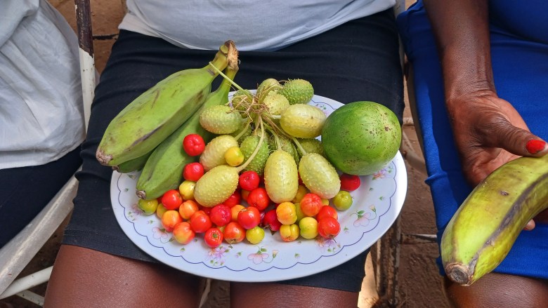 A woman holds a plate of local produce—small cucumbers, cherries and plantains—during Agricultural Day in Ouanaminthe on May 1, 2025. The Organization for the Development of Emancipated Women of Haiti hosted the event. Photo by Edxon Francisque / The Haitian Times.